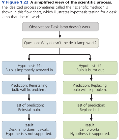 Testing Hypotheses