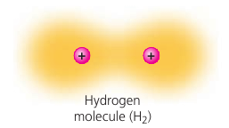 Bond: two hydrogen atoms