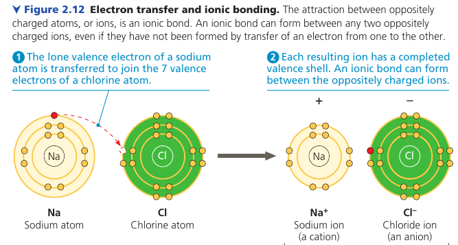 Electron transfer and ionic bonding