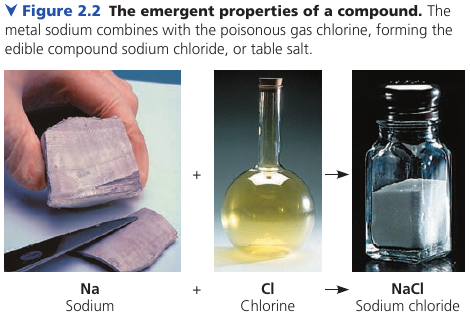 Na + Cl = NaCl