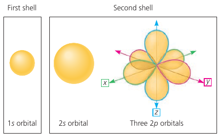 Orbitals for the first two shells