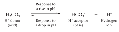 Carbonic acid