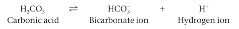 Carbonic acid reaction