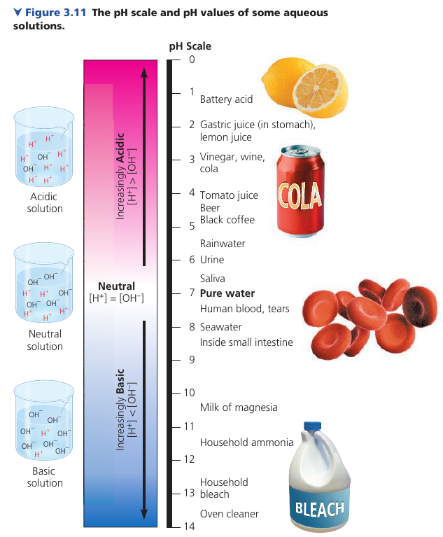 ph scale