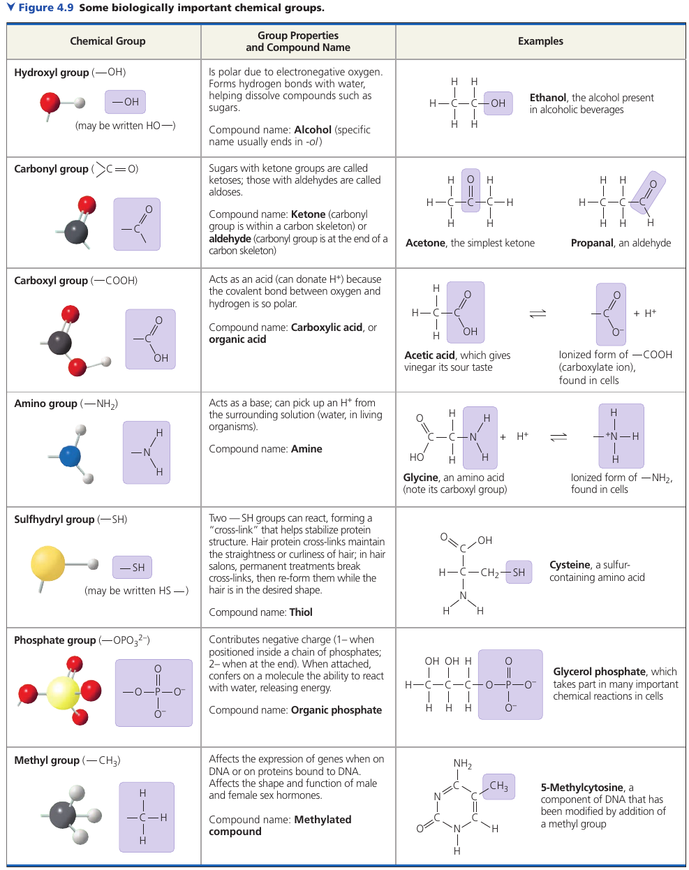 Functional Groups