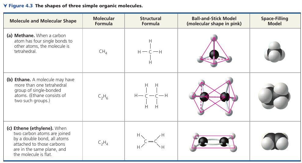 Three simple organic molecules