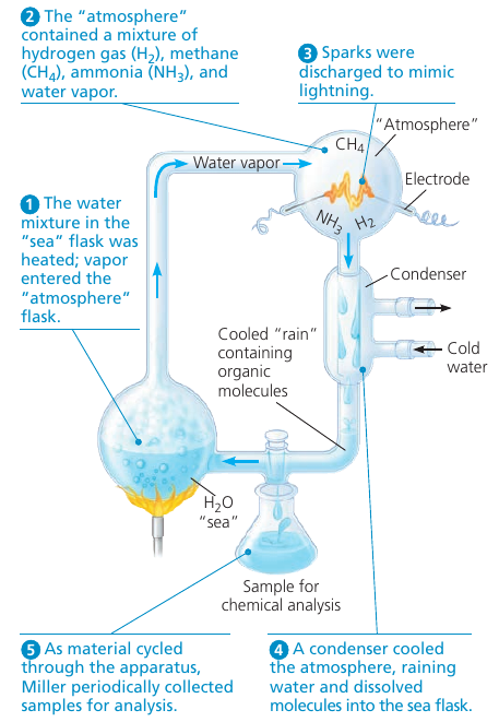 Miller's Experiment